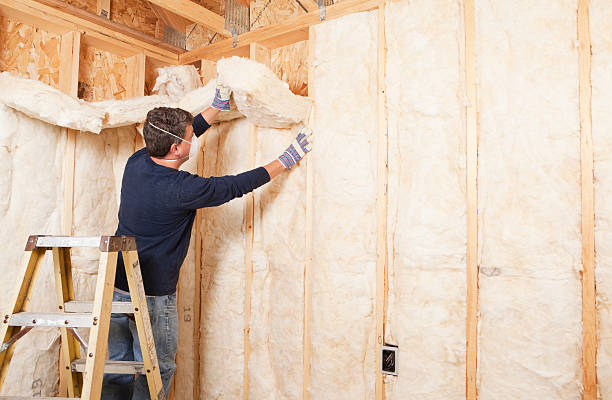 Reliable Northlake, IL Insulation Removal & Installation Solutions